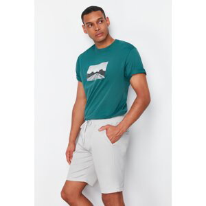 Trendyol Stone Color Regular Shorts
