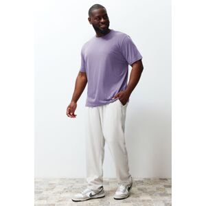 Trendyol Lilac Large Size Comfortable Regular/Normal Fit Basic T-Shirt