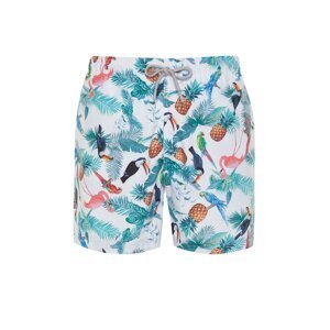 Trendyol White Standard Size Pineapple & Parrot Patterned Swim Shorts