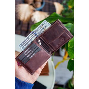 Garbalia Arnold Men's Crazy Brown Men's Wallet with Coin Compartment, Zipper Eyes