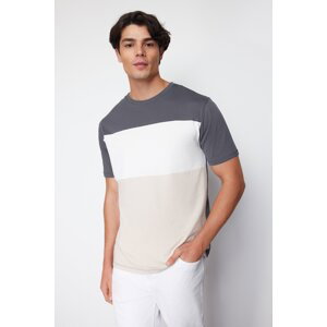 Trendyol Anthracite Regular Cut Color Blocked 100% Cotton T-Shirt
