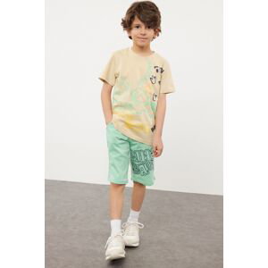 Trendyol Mint Boy Slogan Patterned T-shirt Shorts Set Knitted Top-Bottom Set