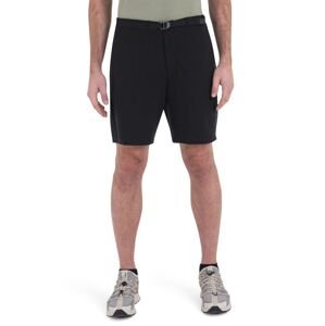 ICEBREAKER Mens Merino IB X TNF Shorts, Black velikost: 30