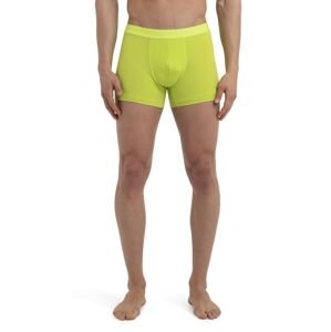 ICEBREAKER Mens Anatomica Cool-Lite™ Boxers, Hyper velikost: L