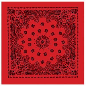 ROTHCO Šátek 55 x 55 cm TRAINMEN ČERVENOČERNÝ Barva: Červená