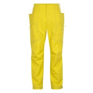 pánské merino kalhoty ICEBREAKER Mens Merino Shell+ Pants, Shine (vzorek) velikost: M