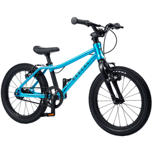 Rascal Bikes Kolo dětské Rascal 16 Barevná kombinace: modrá