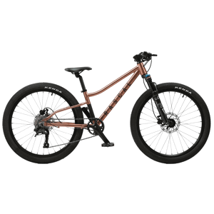 Rascal Bikes Dětské horské kolo Rascal Wild 24 Barevná kombinace: Bronze