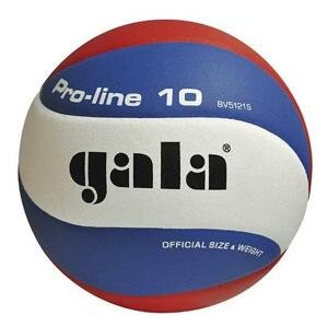 Míč na volejbal gala pro-line 12 bv 5125 s