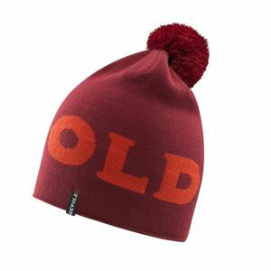 Čepice Devold Logo Beanie GO 700 900 A 083A