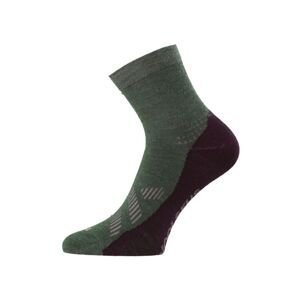 Ponožky merino Lasting FWT-669 zelené S (34-37)