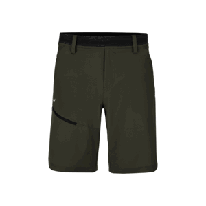 Šortky Salewa PUEZ 3 DST M SHORTS 27401-5280 L