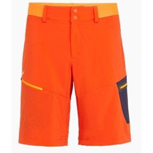 Šortky Salewa PEDROC CARGO 2 DST M SHORTS 26934-4491 S