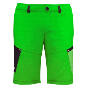 Pánské kraťasy Salewa Alpine Hemp M Cargo shorts 28033-5640 L