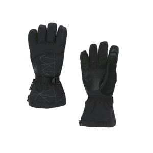 Rukavice Spyder Men Overweb GTX Ski Glove-black 197004-001 M