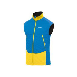 Vesta Direct Alpine Alpha Vest blue/aurora M