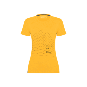 Dámské tričko Salewa PURE SKYLINE DRY W T-SHIRT 28451-2196 40