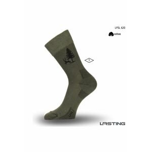 Lasting LFSL 620 Bavlněné zelená Velikost: (46-49) XL ponožky