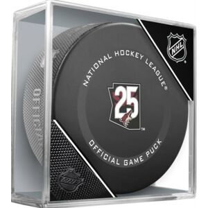 InGlasCo Fanouškovský puk NHL Game Anniversary (1ks), Anaheim Ducks