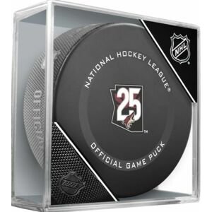 InGlasCo Fanouškovský puk NHL Game Anniversary (1ks), Buffalo Sabres