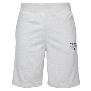 Tommy Hilfiger SHORT Pánské šortky, šedá, veľkosť md