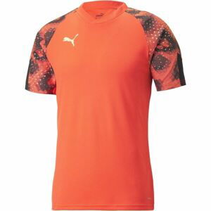 Puma INDIVIDUALFINAL WC JERSEY Pánský dres, červená, velikost L