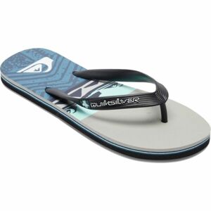 Quiksilver MOLOKAI PANEL Pánské žabky, modrá, velikost 47