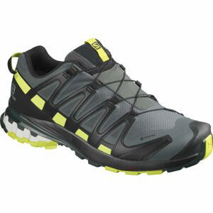 Salomon XA PRO 3D V8 GTX Pánská běžecká obuv, černá, velikost 41 1/3