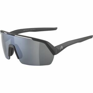 Alpina Sports TURBO HR Sluneční brýle, černá, veľkosť UNI