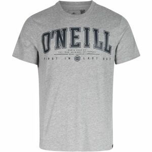 O'Neill STATE MUIR T-SHIRT Pánské tričko, šedá, velikost M