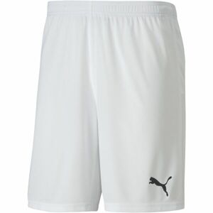 Puma TEAM GOAL 23 KNIT SHORTS Pánské kraťasy, bílá, velikost M