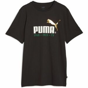 Puma LOGO CELEBRATION TEE Pánské triko, černá, veľkosť L