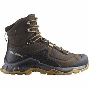 Salomon QUEST ELEMENT GTX Pánská kožená turistická obuv, hnědá, velikost 43 1/3