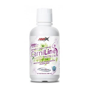 AMIX CarniLine ProFitness 2000, Blood Orange, 480ml