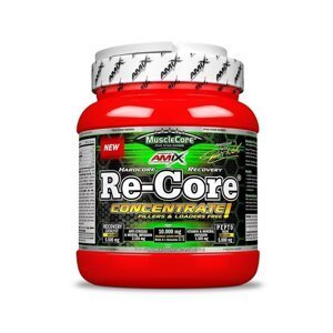 AMIX Re-Core Concentrated, Fruit Punch, 540g
