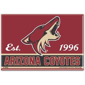 Arizona Coyotes magnetka logo 91714