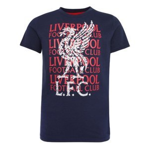 FC Liverpool dětské tričko street navy 45983