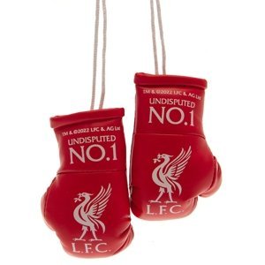 FC Liverpool mini boxerské rukavice Mini Boxing Gloves RD TM-01547