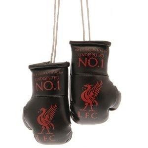 FC Liverpool mini boxerské rukavice Mini Boxing Gloves BK TM-01548