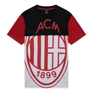 AC Milan pánské tričko Big Logo colour 54262