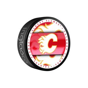 Calgary Flames puk Medallion Souvenir Collector 107445