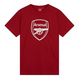 FC Arsenal dětské tričko No1 Tee red 56040