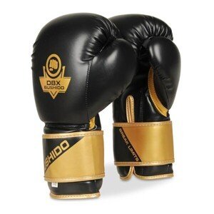 Boxerské rukavice DBX BUSHIDO B-2v10 Velikost: 12oz