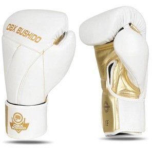 Boxerské rukavice DBX BUSHIDO B-2v19 Velikost: 10oz