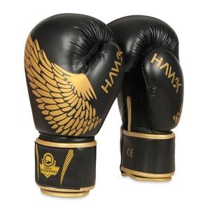 Boxerské rukavice DBX BUSHIDO B-2v17 Velikost: 12oz.