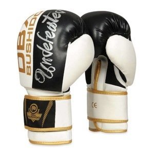 Boxerské rukavice DBX BUSHIDO B-2v16 Velikost: 14oz