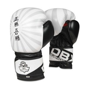 Boxerské rukavice DBX BUSHIDO B-2v8 Velikost: 10oz