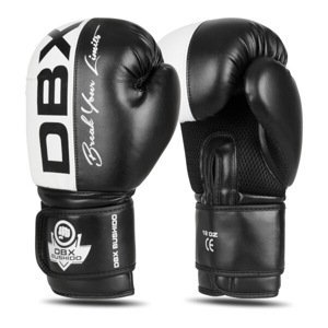 Boxerské rukavice DBX BUSHIDO B-2v20 Velikost: 14oz