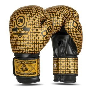 Boxerské rukavice DBX BUSHIDO B-2v23 Velikost: 12oz