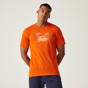 Pánské tričko regatta cline viii oranžová s